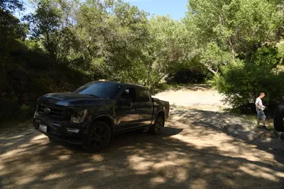 DSC_5928 (Large).JPG